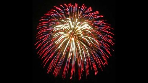 Все, что нужно знать о выборе салюта