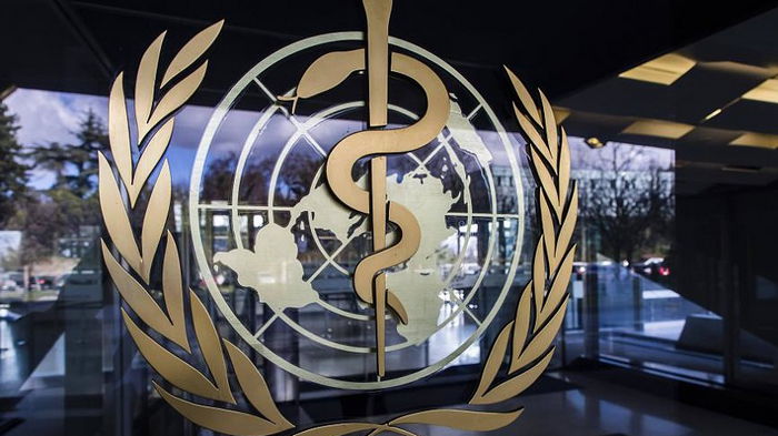 ВОЗ и Китай обсудили сотрудничество по расследованию происхождения COVID-19