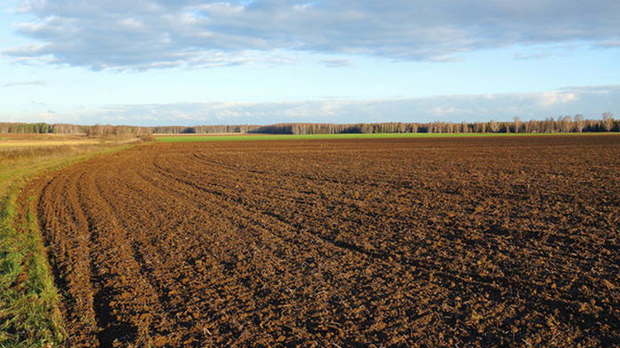 Парламент принял закон об орошении земель
