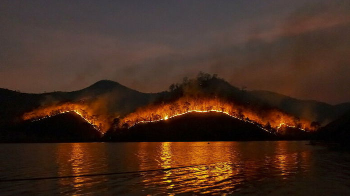 Изменение климата усилило ночные лесные пожары