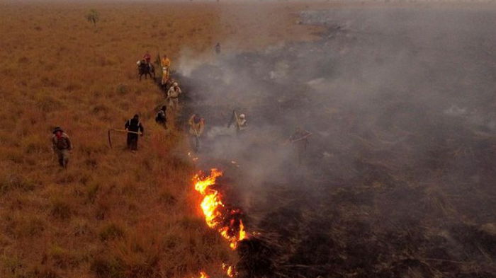 В Аргентине не могут остановить пожар, который уже уничтожил 600 000 гектаров земли