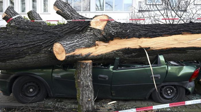 Северная Европа поражена третьим крупным штормом: 14 погибших