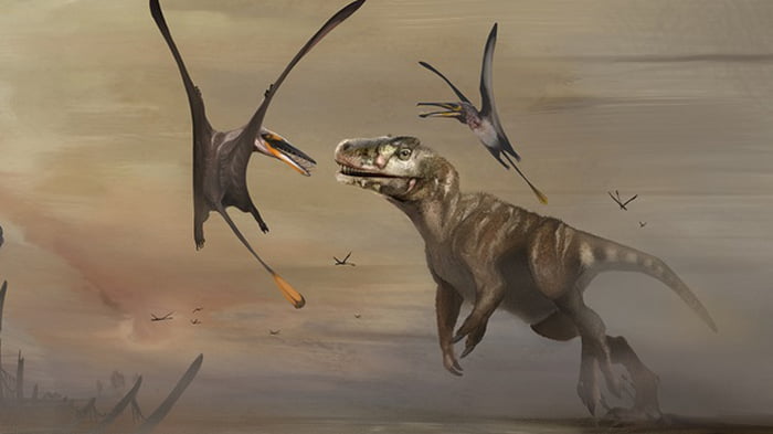 Найден скелет крупнейшего птерозавра юрского периода