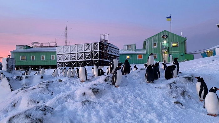 От морских волн до озоновой дыры. Какими исследованиями занимаются украинцы в Антарктиде