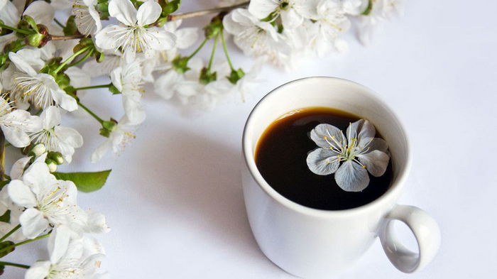 Гороскоп на неделю: для всех знаков зодиака