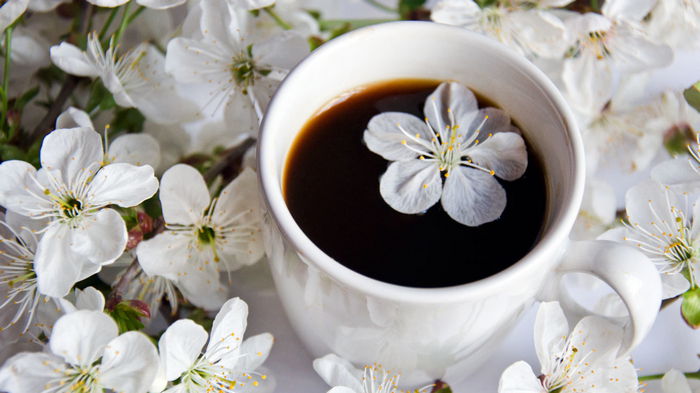 Гороскоп на неделю: для всех знаков зодиака