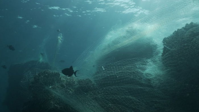 Samsung будет делать смартфоны из выброшенных в океан рыболовных сеток