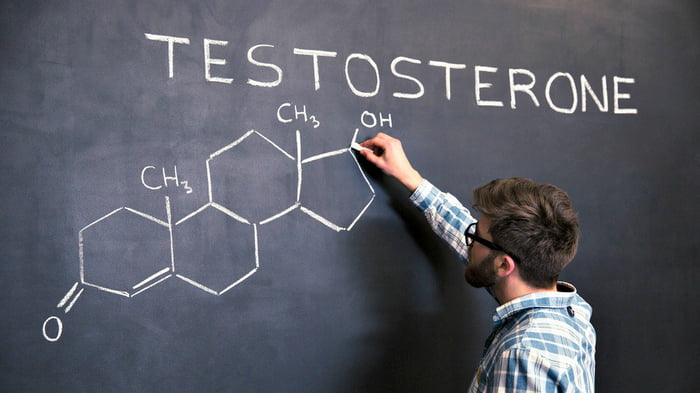 Что дает тестостерон?