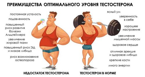 тестостерон