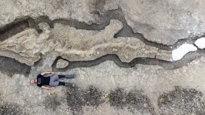 Чудовище длиной 10 метров. Ученые обнаружили полный скелет древнего ихтиозавра (фото)