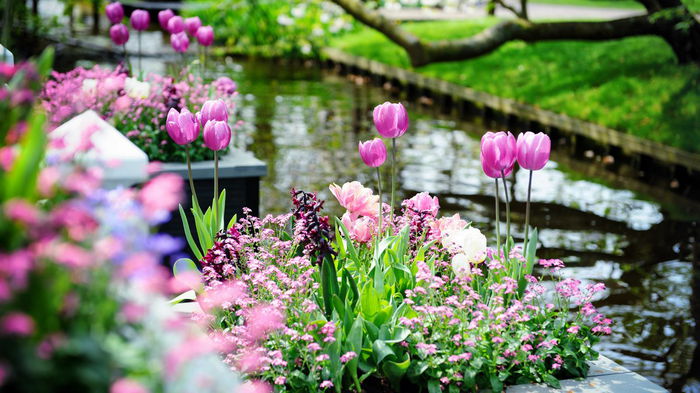 Синоптики озвучили прогноз погоды на апрель