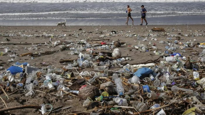 Микробы по всему миру начали поедать пластик, — исследование