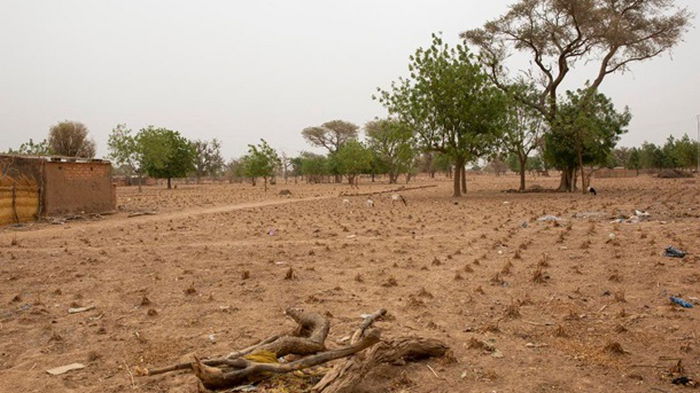 Африка столкнулась с масштабным голодом