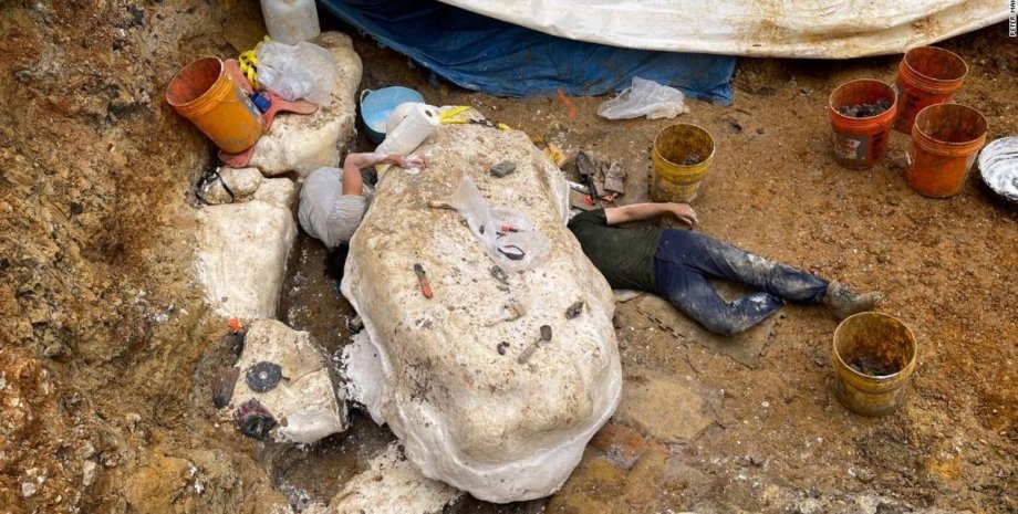 Тысяча мелких зубов и 4 тонны веса: в США нашли останки утконосого динозавра (фото)