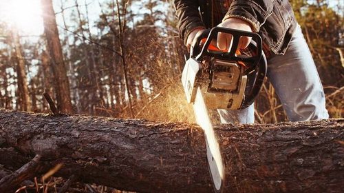 Особенности выбора бензопилы