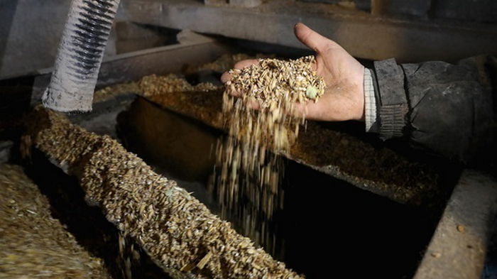 Украина в разы увеличила агроэкспорт в апреле