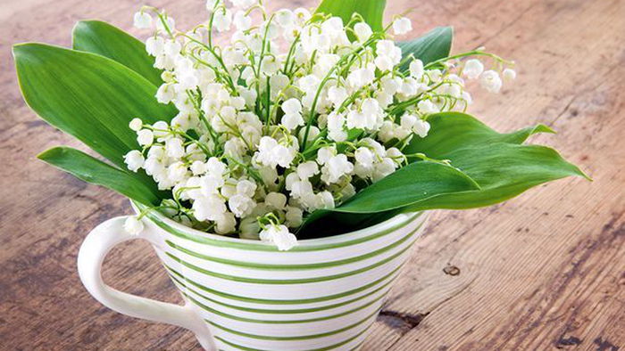 Гороскоп на неделю: для всех знаков зодиака