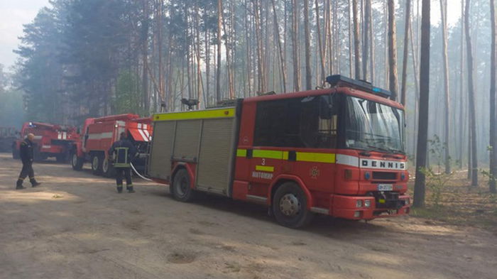 В Житомирской области загорелся лес (фото)