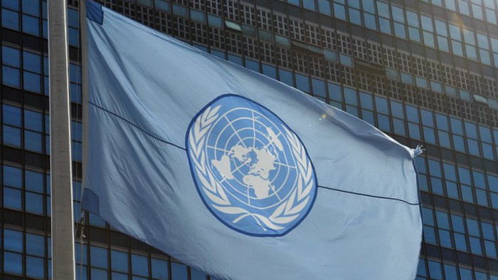 В ООН представили план перехода на возобновляемые источники энергии