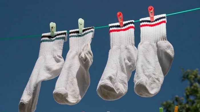 Носки, которые подойдут для всей семьи