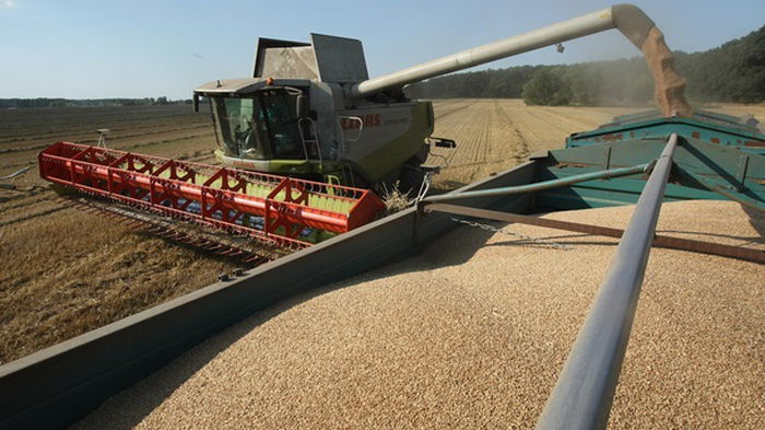 G7 создаст альянс по продовольственной безопасности