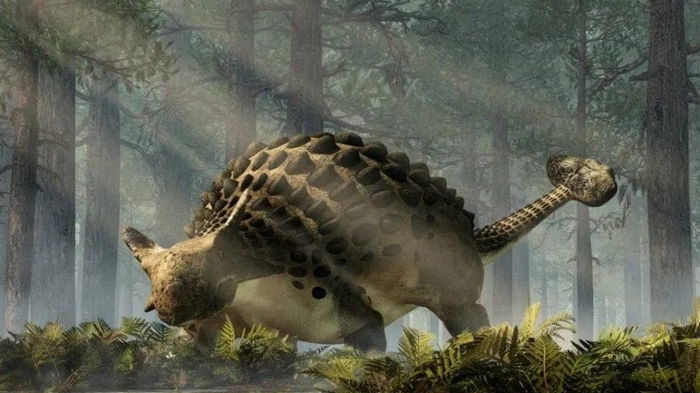 Ученые обнаружили окаменелость самого странного анкилозавра