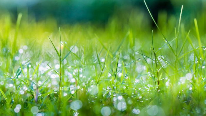 Гороскоп на неделю: для всех знаков зодиака