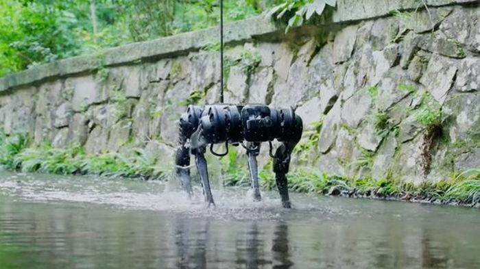 В Китае испытали подводного робота-собаку (видео)