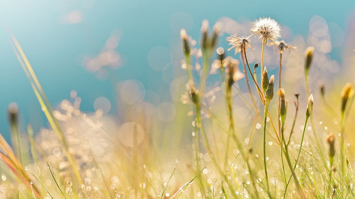 Жарче, чем обычно. Укргидрометцентр дал прогноз погоды на июль