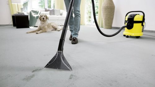 моющий пылесос