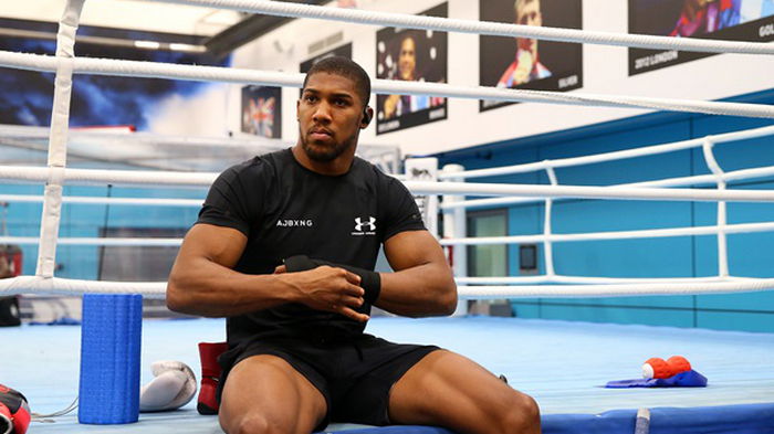 Джошуа проведет еще один бой в этом году — промоутер