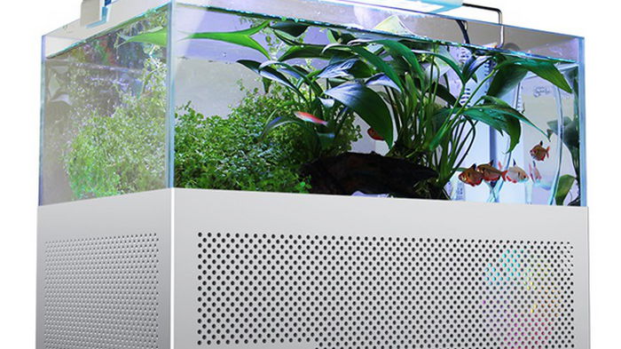 Китайская компания создала компьютерный корпус со встроенным аквариумом