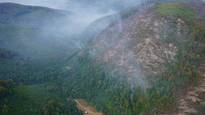 Масштабный пожар в Закарпатье: к тушению привлекли авиацию (фото)