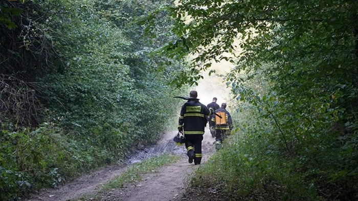 На Закарпатье потушили масштабный лесной пожар