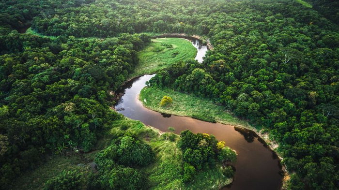 Ученые рассказали, что произойдет, если вырубить все леса Амазонии