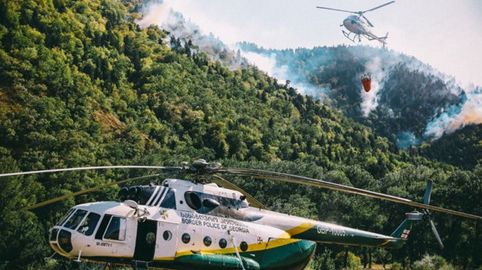В Грузии семь дней тушат масштабный лесной пожар