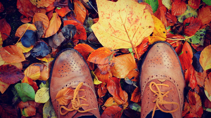 Гороскоп на неделю: для всех знаков зодиака