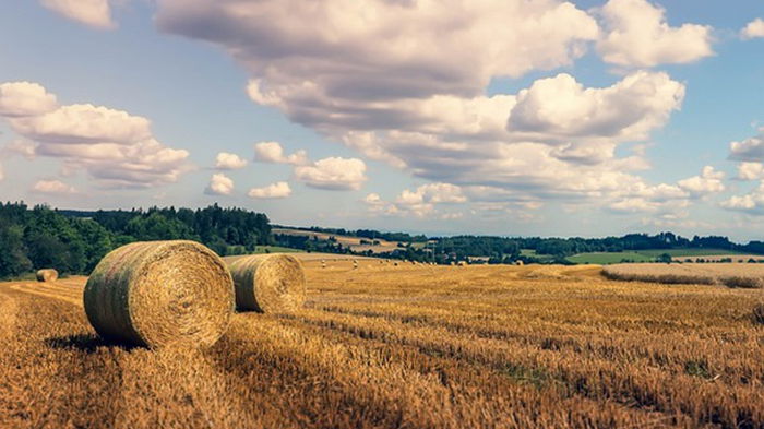Синоптик сообщила о приходе в Украину бабьего лета