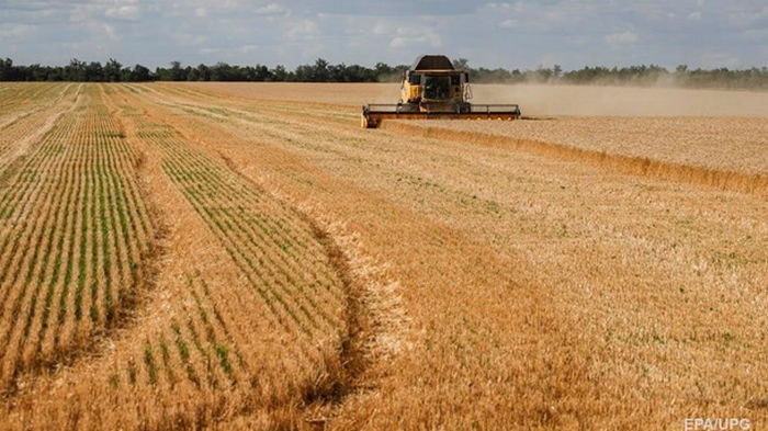 Украина намолотила более 30 млн тонн зерна