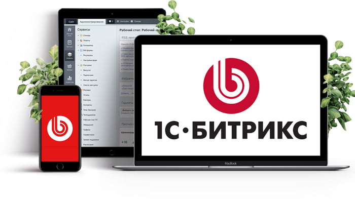 Чем отличается 1С от 1С-Битрикс?