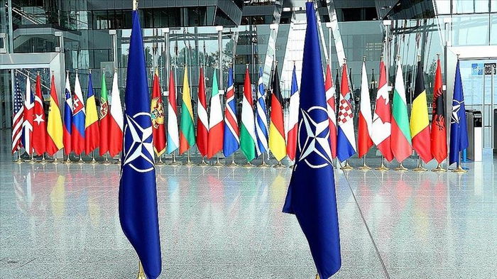 Шмыгаль: В НАТО нет противников вступления Украины