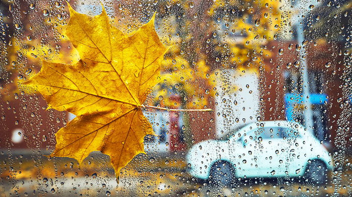 Праздник 12 октября: что нельзя делать, кого поздравить с днем ангела