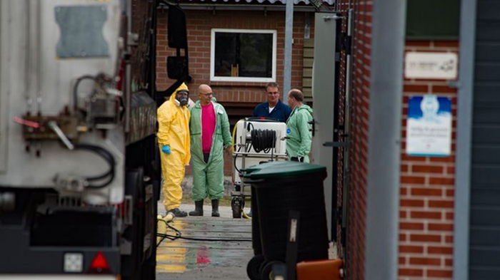 Из-за птичьего гриппа в Нидерландах уничтожили 300 тысяч кур