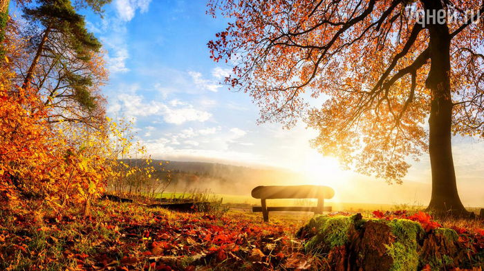 Праздник 23 января: почему этот день осени особенный, у кого день ангела