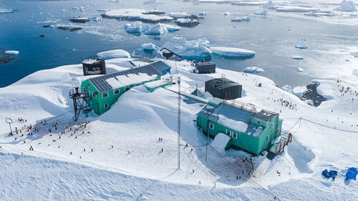 На украинской станции в Антарктиде намело столько снега, что пингвины ходят по крыше