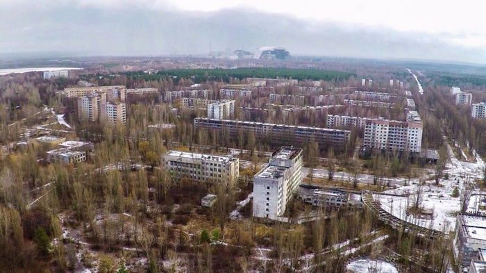 В Чернобыле показали зверя, который ест мухоморы и лижет соль (фото)