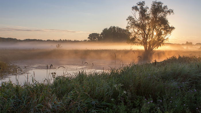 Гороскоп на неделю: для всех знаков зодиака