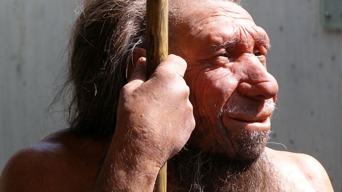 Неандертальцы были гораздо умнее, чем мы думаем