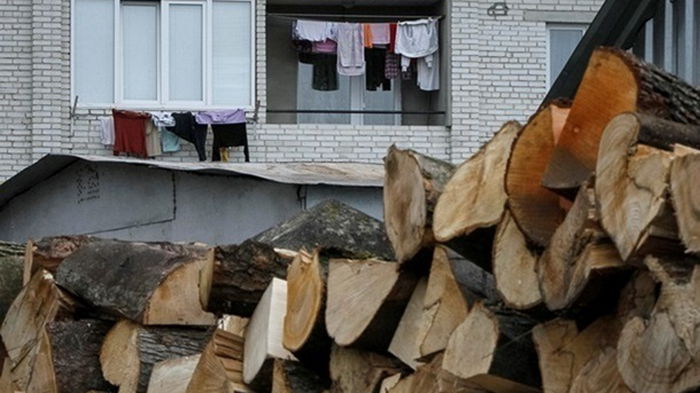 В Украине создан рекордный запас дров