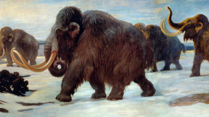 Люди тоже сыграли роль: ученые рассказали, почему на самом деле вымерли мамонты